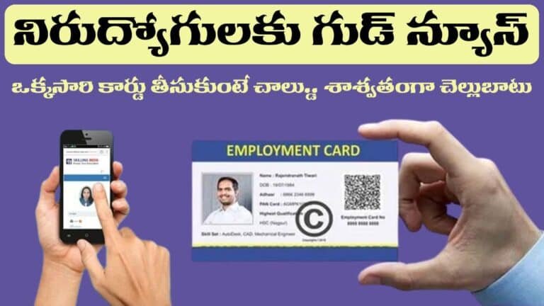 Employment Card Latest Information 2025