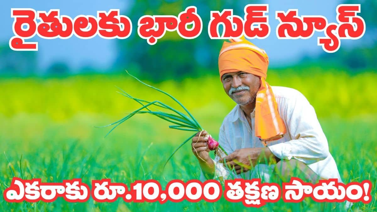 Good News For Farmers 10000 Rain Compensation