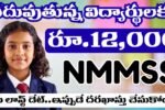 Scholorship: విద్యార్థులకు ఏటా రూ.12,000 చొప్పున స్కాలర్షిప్.. రేపే లాస్ట్ డేట్..ఇప్పుడే దరఖాస్తు చేసుకోండి 2 NMMSS 12000 Scholorship For Students Apply Now