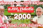 PM Kisan 21st Installment Status