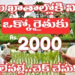 PM Kisan 21st Installment Status