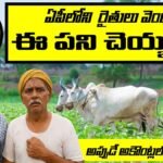 PM Kisan Money 2K Payment Alert For AP Framers