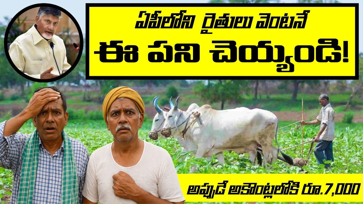 PM Kisan Money: అకౌంట్లలోకి రూ.7,000.. ఏపీలోని రైతులు వెంటనే ఇలా చెయ్యండి! 1 PM Kisan Money 2K Payment Alert For AP Framers