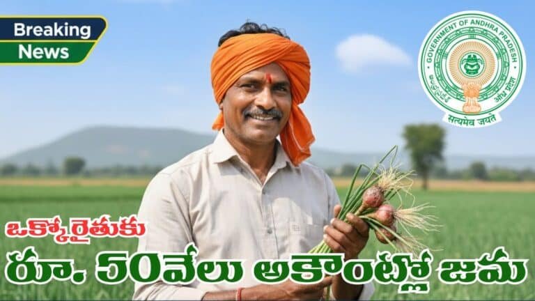 AP CM Chandrababu said Onion Farmers will get rs50000 per Hectare