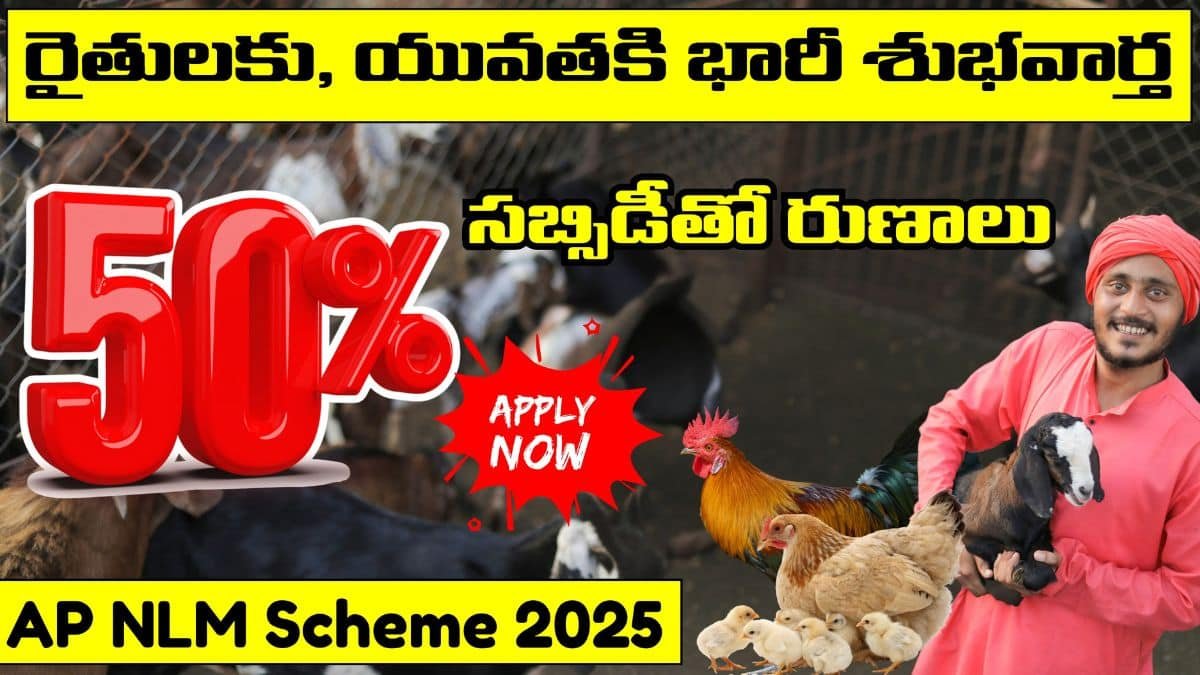 AP NLM Scheme 2025 Step By Step Full Guide