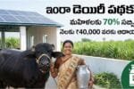 Indira Dairy Scheme 70 Percent Subsidy Details Telugu