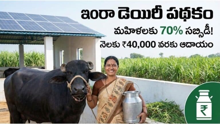 Indira Dairy Scheme 70 Percent Subsidy Details Telugu