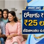 LIC New Jeevan Anand Policy Benefits
