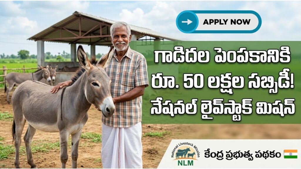 National Livestock Mission Donkey Farming Subsidy Scheme Details